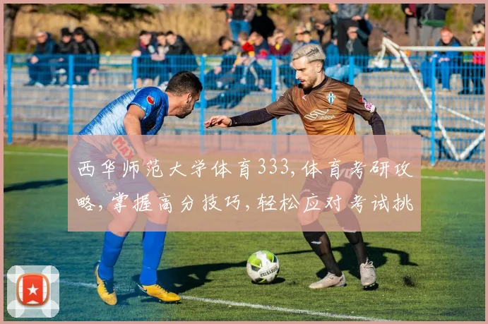 西华师范大学体育333,体育考研攻略,掌握高分技巧,轻松应对考试挑战,一击即中
