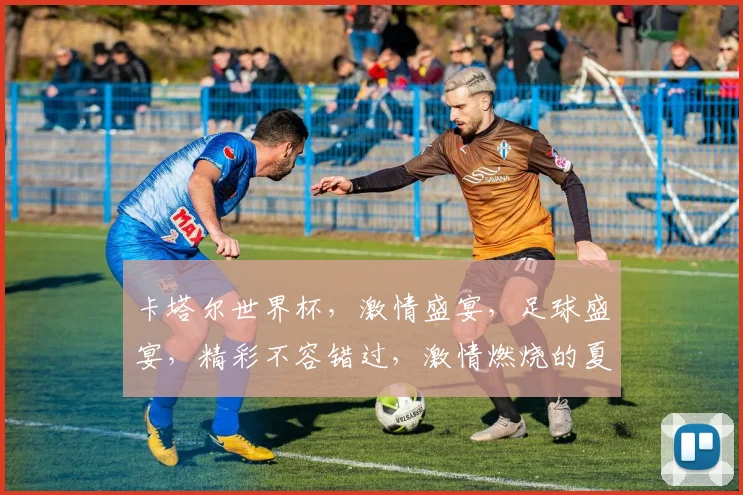 卡塔尔世界杯，激情盛宴，足球盛宴，精彩不容错过，激情燃烧的夏天