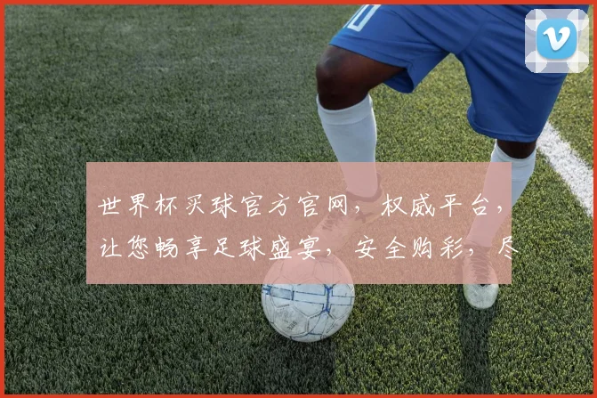 世界杯买球官方官网，权威平台，让您畅享足球盛宴，安全购彩，尽在掌握