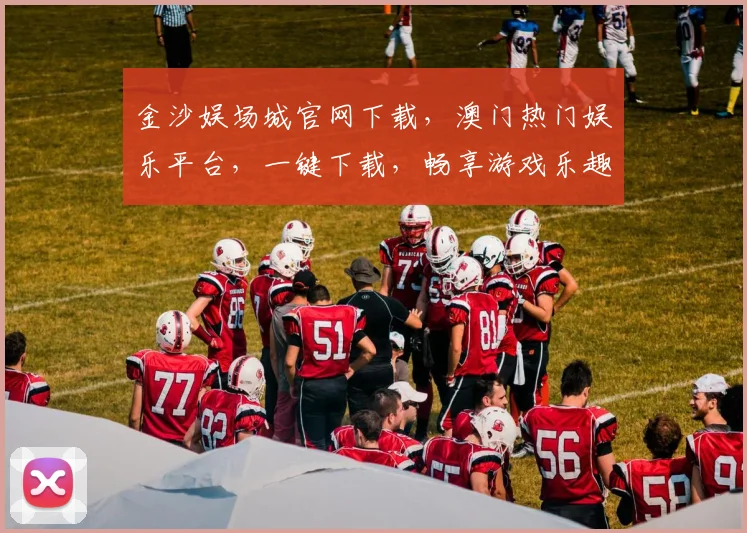 金沙娱场城官网下载，澳门热门娱乐平台，一键下载，畅享游戏乐趣，不容错过